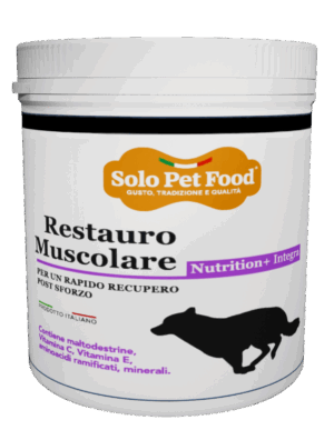 Nutrition+ Integra Recupero Muscolare